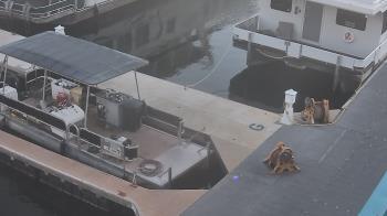 Weather camera view of Lake Powell Resorts and Marinas - Wahweap Marina.