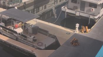 Weather camera view of Lake Powell Resorts and Marinas - Wahweap Marina.