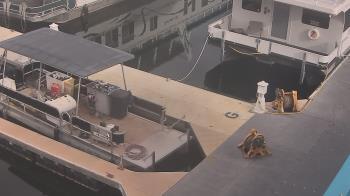 Weather camera view of Lake Powell Resorts and Marinas - Wahweap Marina.