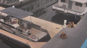 Weather camera view of Lake Powell Resorts and Marinas - Wahweap Marina.