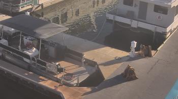 Weather camera view of Lake Powell Resorts and Marinas - Wahweap Marina.