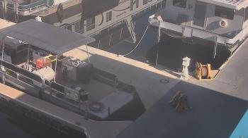 Weather camera view of Lake Powell Resorts and Marinas - Wahweap Marina.