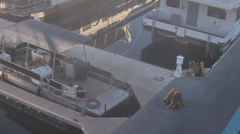 Weather camera view of Lake Powell Resorts and Marinas - Wahweap Marina.