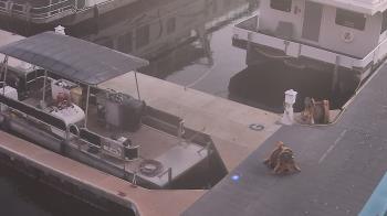Weather camera view of Lake Powell Resorts and Marinas - Wahweap Marina.