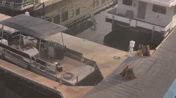 Weather camera view of Lake Powell Resorts and Marinas - Wahweap Marina.