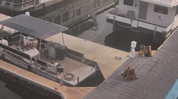 Weather camera view of Lake Powell Resorts and Marinas - Wahweap Marina.