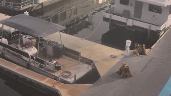 Weather camera view of Lake Powell Resorts and Marinas - Wahweap Marina.