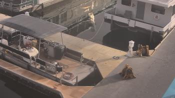 Weather camera view of Lake Powell Resorts and Marinas - Wahweap Marina.