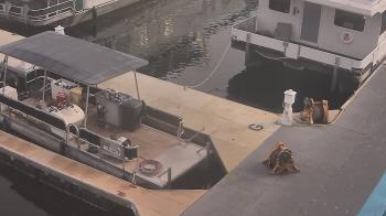 Weather camera view of Lake Powell Resorts and Marinas - Wahweap Marina.