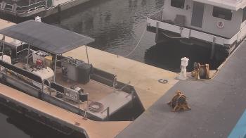 Weather camera view of Lake Powell Resorts and Marinas - Wahweap Marina.