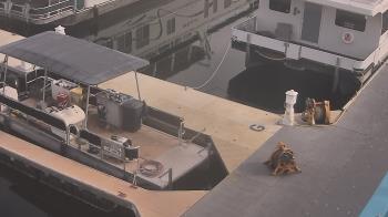 Weather camera view of Lake Powell Resorts and Marinas - Wahweap Marina.
