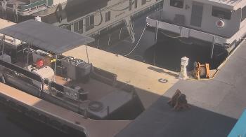 Weather camera view of Lake Powell Resorts and Marinas - Wahweap Marina.