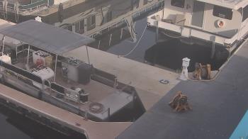 Weather camera view of Lake Powell Resorts and Marinas - Wahweap Marina.