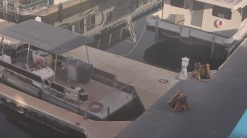 Weather camera view of Lake Powell Resorts and Marinas - Wahweap Marina.