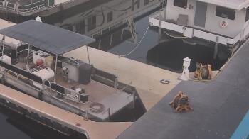 Weather camera view of Lake Powell Resorts and Marinas - Wahweap Marina.