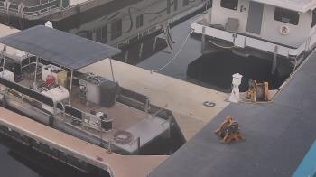 Weather camera view of Lake Powell Resorts and Marinas - Wahweap Marina.