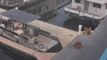 Weather camera view of Lake Powell Resorts and Marinas - Wahweap Marina.
