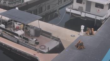 Weather camera view of Lake Powell Resorts and Marinas - Wahweap Marina.