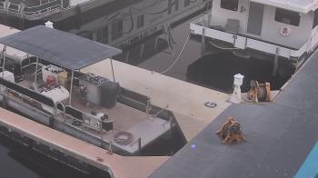 Weather camera view of Lake Powell Resorts and Marinas - Wahweap Marina.