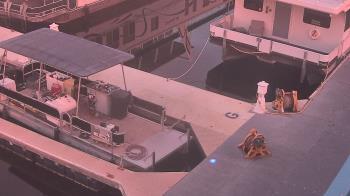 Weather camera view of Lake Powell Resorts and Marinas - Wahweap Marina.