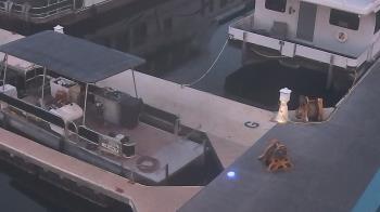 Weather camera view of Lake Powell Resorts and Marinas - Wahweap Marina.