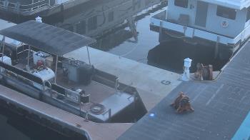 Weather camera view of Lake Powell Resorts and Marinas - Wahweap Marina.