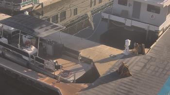Weather camera view of Lake Powell Resorts and Marinas - Wahweap Marina.