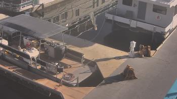 Weather camera view of Lake Powell Resorts and Marinas - Wahweap Marina.