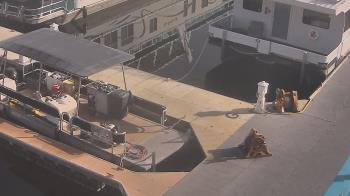 Weather camera view of Lake Powell Resorts and Marinas - Wahweap Marina.