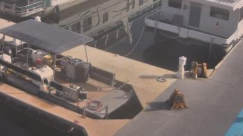 Weather camera view of Lake Powell Resorts and Marinas - Wahweap Marina.