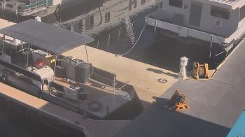 Weather camera view of Lake Powell Resorts and Marinas - Wahweap Marina.