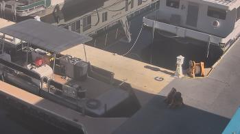 Weather camera view of Lake Powell Resorts and Marinas - Wahweap Marina.