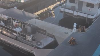 Weather camera view of Lake Powell Resorts and Marinas - Wahweap Marina.