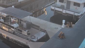 Weather camera view of Lake Powell Resorts and Marinas - Wahweap Marina.