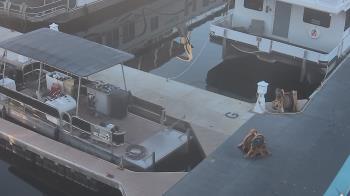 Weather camera view of Lake Powell Resorts and Marinas - Wahweap Marina.