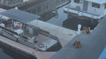 Weather camera view of Lake Powell Resorts and Marinas - Wahweap Marina.