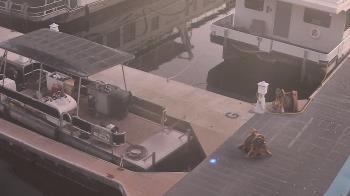 Weather camera view of Lake Powell Resorts and Marinas - Wahweap Marina.