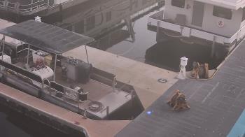 Weather camera view of Lake Powell Resorts and Marinas - Wahweap Marina.