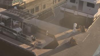 Weather camera view of Lake Powell Resorts and Marinas - Wahweap Marina.