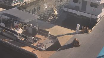 Weather camera view of Lake Powell Resorts and Marinas - Wahweap Marina.