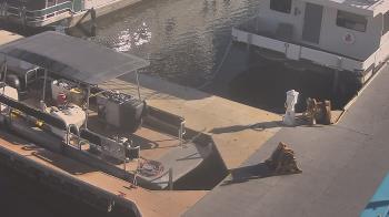 Weather camera view of Lake Powell Resorts and Marinas - Wahweap Marina.