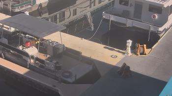 Weather camera view of Lake Powell Resorts and Marinas - Wahweap Marina.