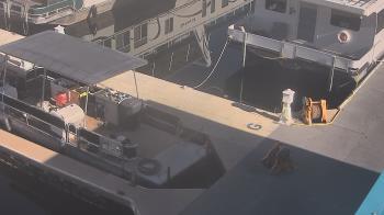 Weather camera view of Lake Powell Resorts and Marinas - Wahweap Marina.