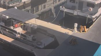 Weather camera view of Lake Powell Resorts and Marinas - Wahweap Marina.