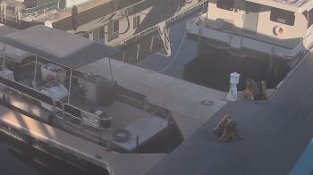 Weather camera view of Lake Powell Resorts and Marinas - Wahweap Marina.