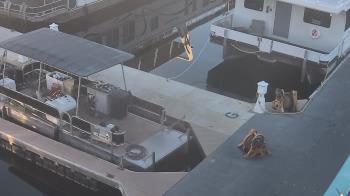 Weather camera view of Lake Powell Resorts and Marinas - Wahweap Marina.