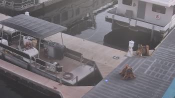 Weather camera view of Lake Powell Resorts and Marinas - Wahweap Marina.