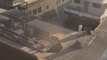 Weather camera view of Lake Powell Resorts and Marinas - Wahweap Marina.