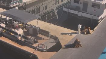 Weather camera view of Lake Powell Resorts and Marinas - Wahweap Marina.