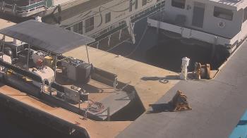 Weather camera view of Lake Powell Resorts and Marinas - Wahweap Marina.